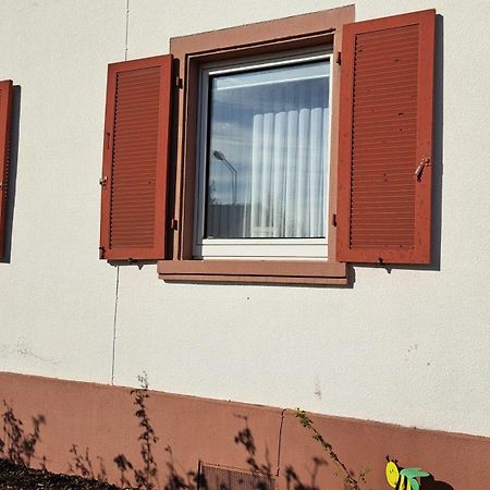 Schoene Wohnung In Worms Private Gastgeber Екстериор снимка